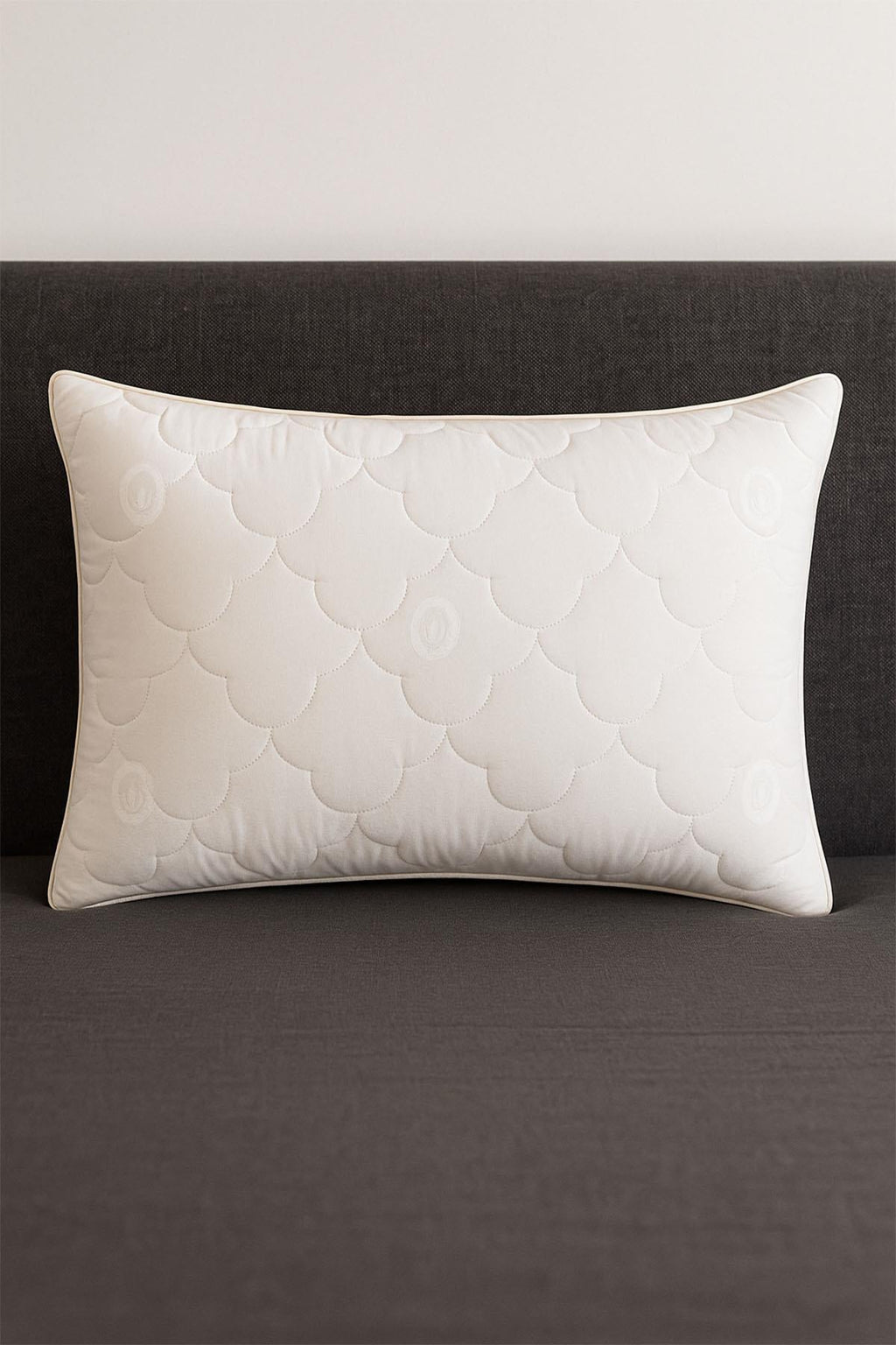 Cotton Pillow (50 x 70 cm) / 1000 GR