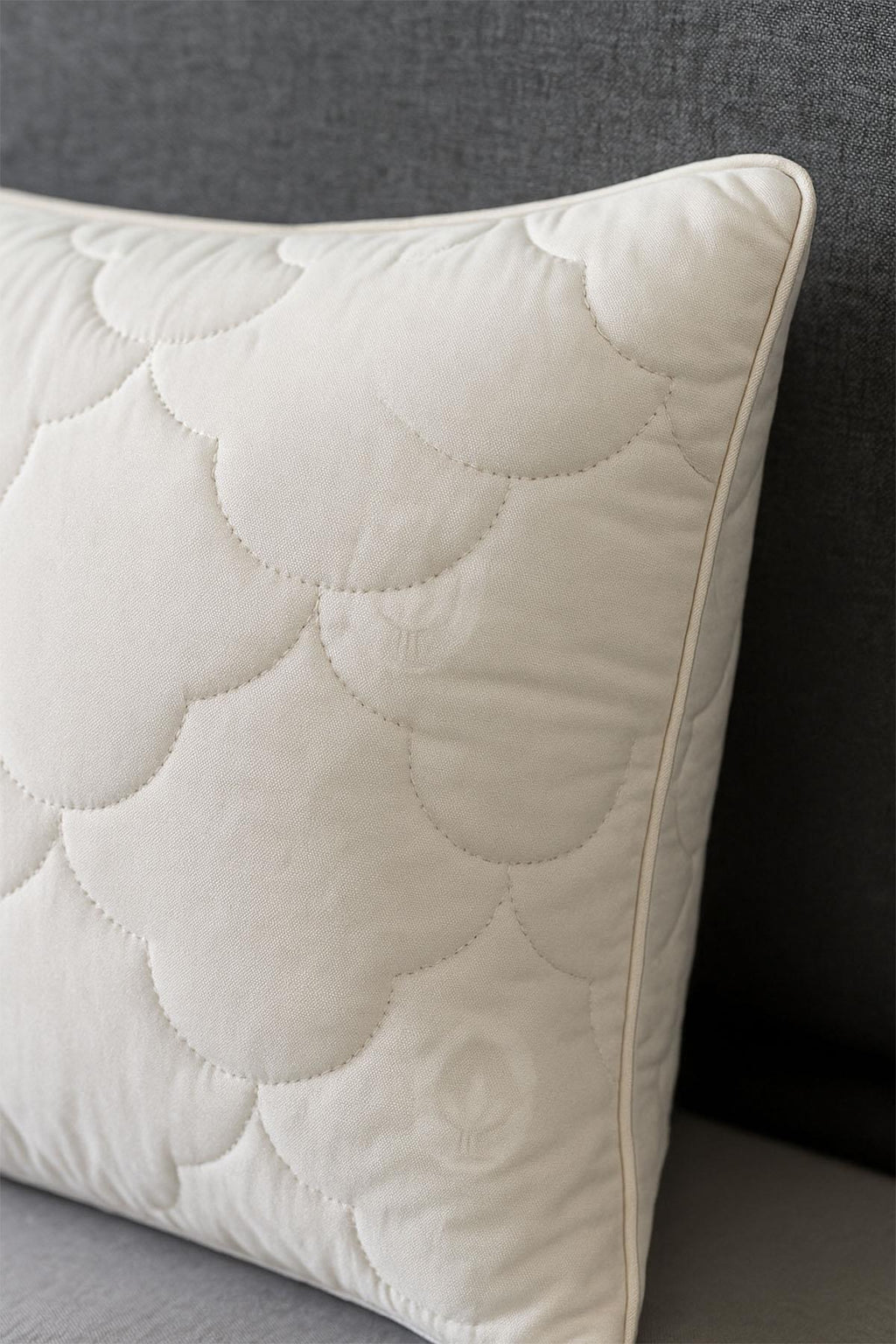 Cotton Pillow (50 x 70 cm) / 1000 GR